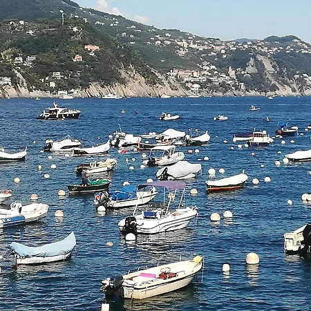 Portofino Est Cod L07441 Rapallo